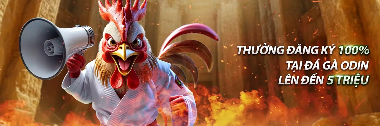 Hình ảnh Xổ Số và Đá Gà Trực Tiếp Hôm Nay C1